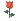 [صورة: flower.gif]